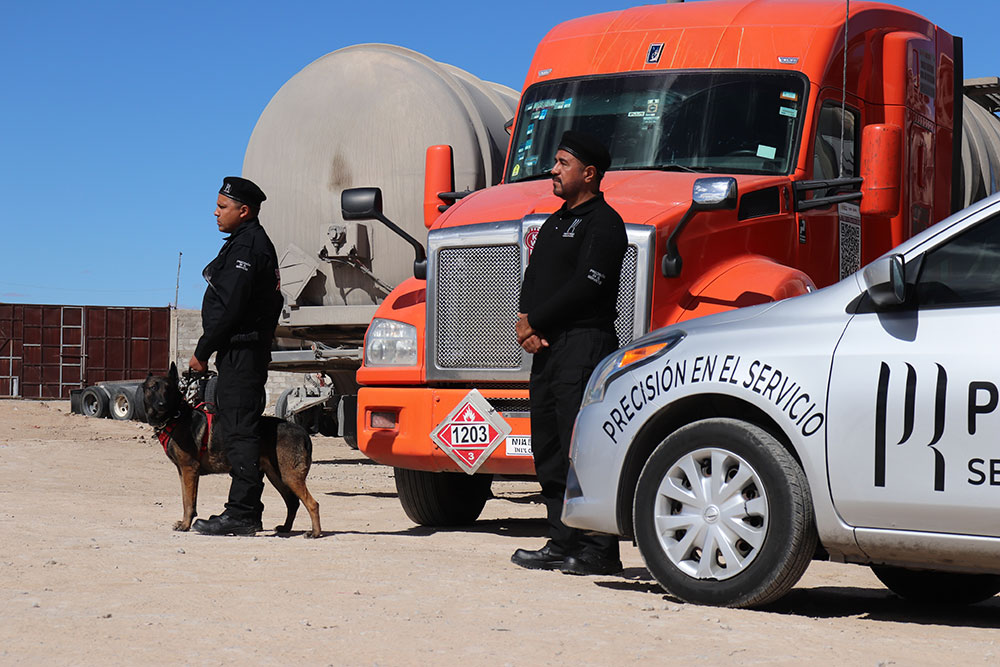 Servicio de supervisión y vigilancia